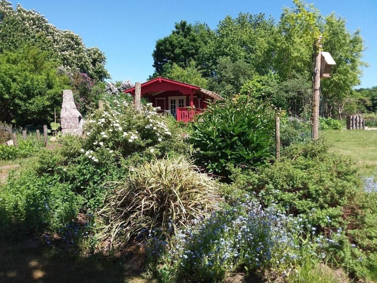 Ruhige Fewo Im Gruenen Mit Balkon, Terrasse Und Grossem Garten Apartman Sehlen Kültér fotó